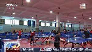 简易型乒乓球台